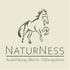 NaturNess