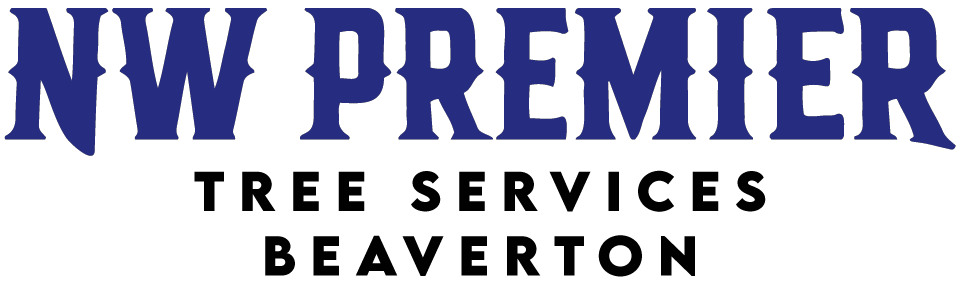 NW Premier Tree Services Beaverton gallery 2