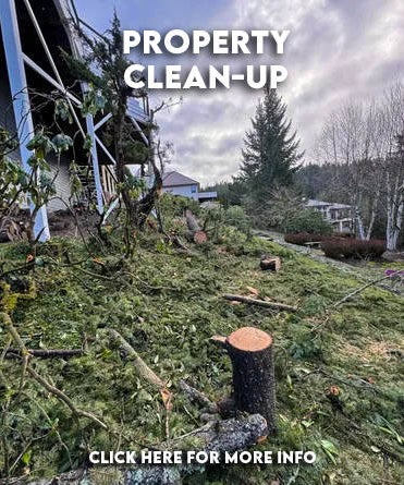 NW Premier Tree Services Beaverton gallery 7