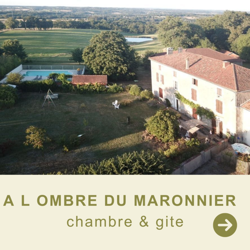 a l ombre du maronnier 