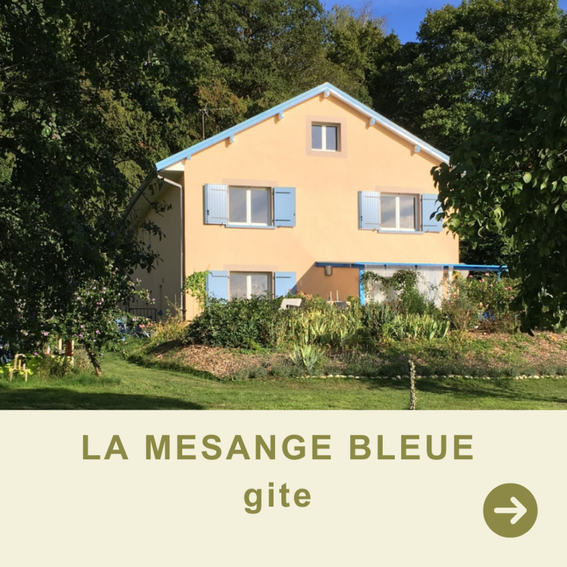 La mesange bleue