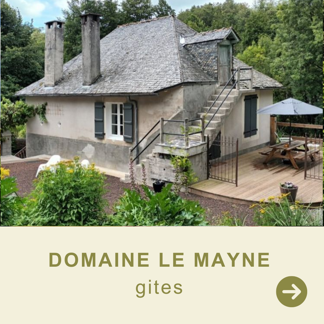 domaine le mayne