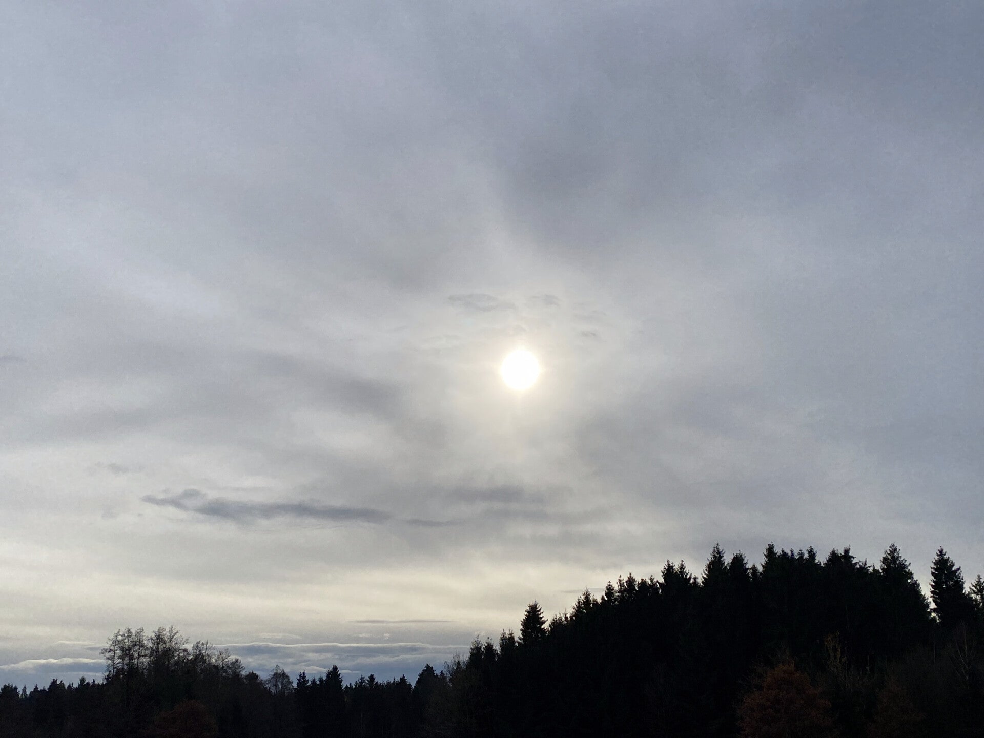 Dunkler Wald und Wolkiger Himmel. Die Sonne bricht durch die Wolken. Sinbildlich transformiert Energie das Leben und harmonisiert.