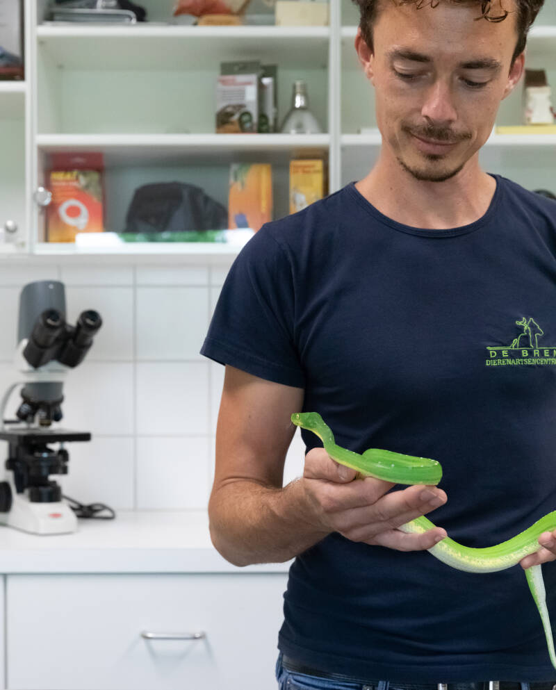 dierenarts - onderzoek - Westerlo