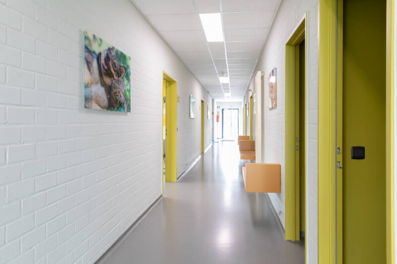 dierenartsenpraktijk - interieur - Westerlo