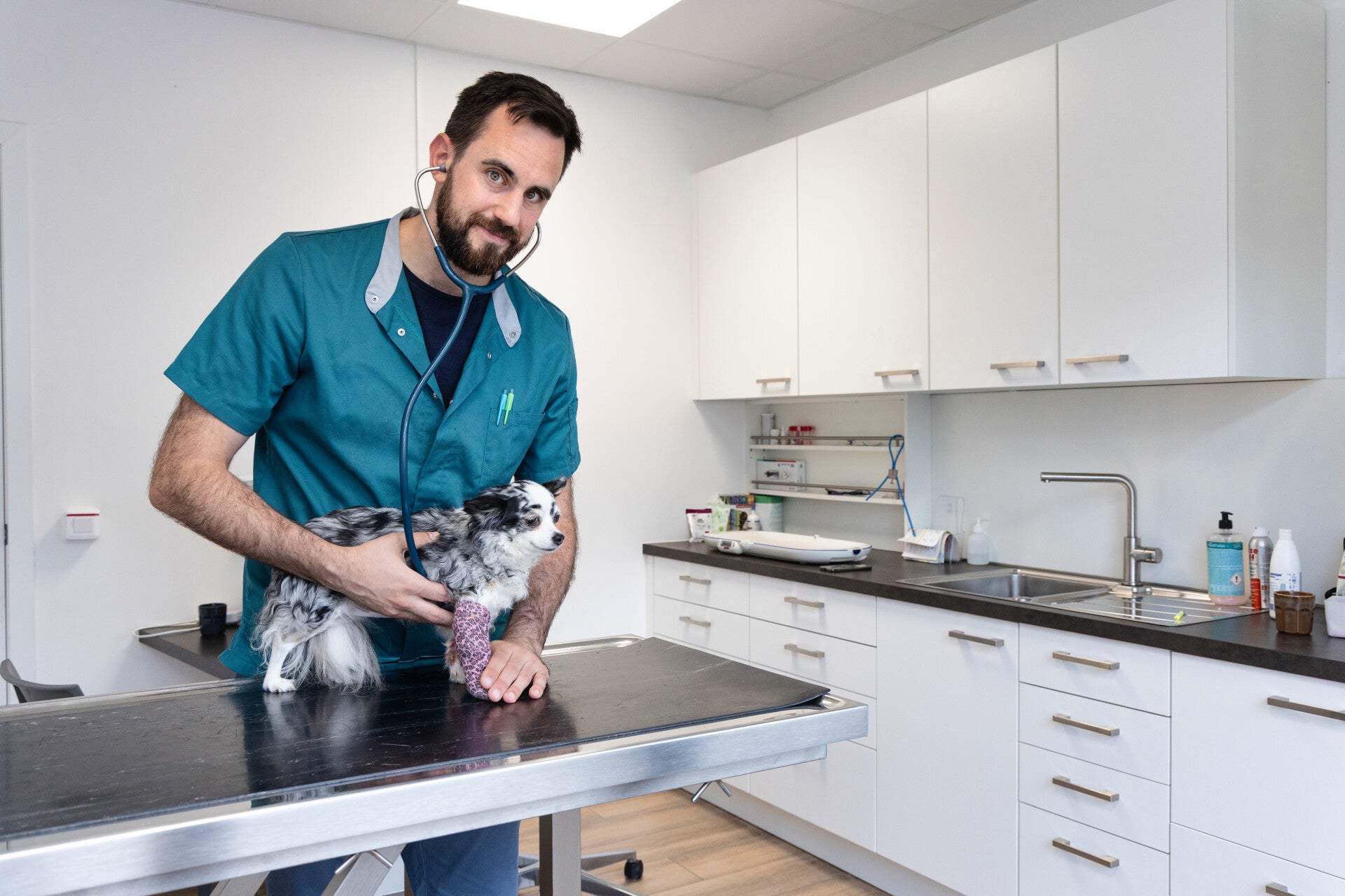 Dierenartsenfotografie Kempen