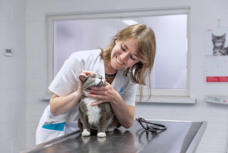 dierenarts met hond in onderzoekskamer bedrijfsfotografie Heidi Rombouts.jpg