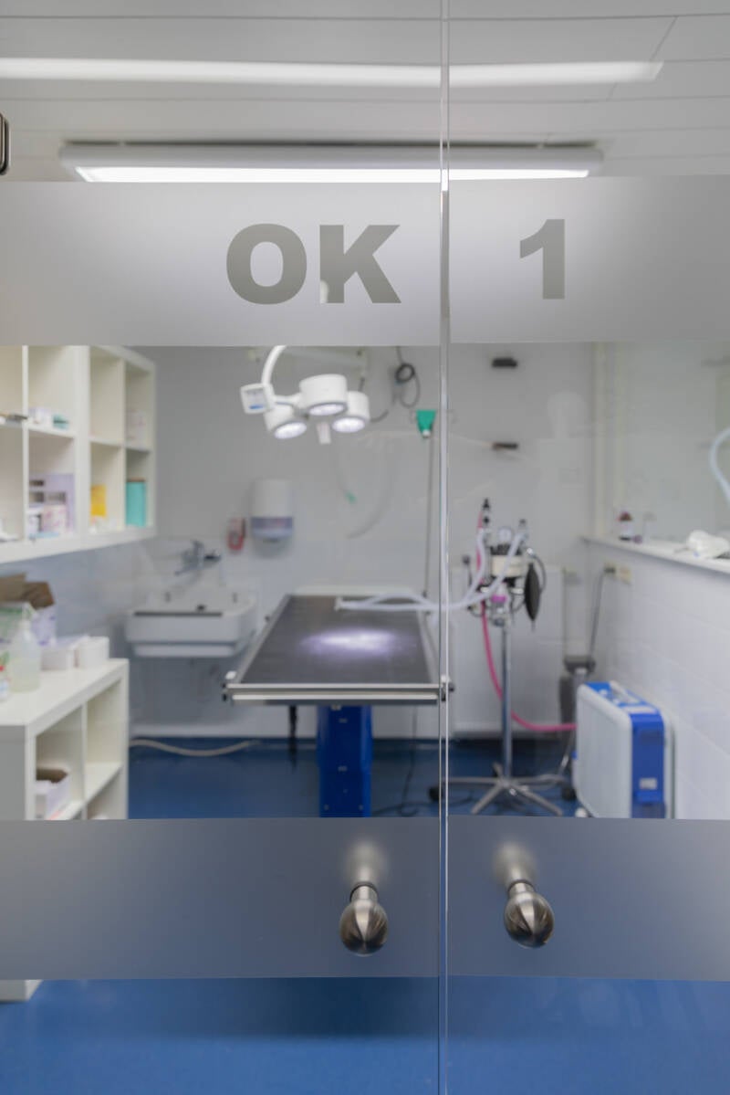 Operatiekamer door glazen deur gezien Bedrijfsfotografie Heidi Rombouts.jpg