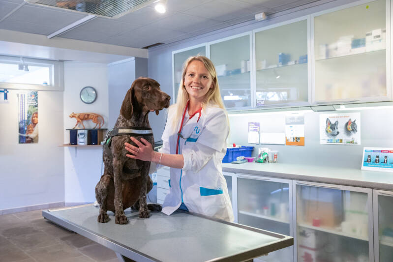 dierenarts met hond in onderzoekskamer bedrijfsfotografie Heidi Rombouts.jpg