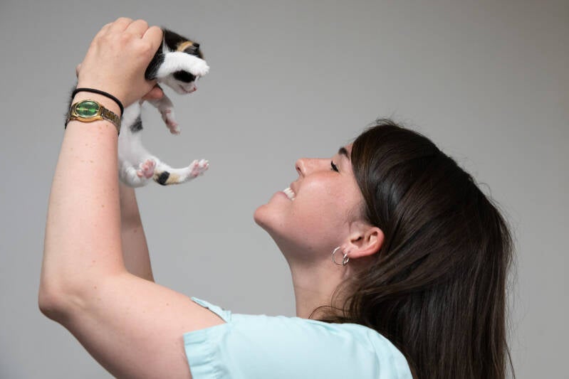 dierenarts met kitten.jpg