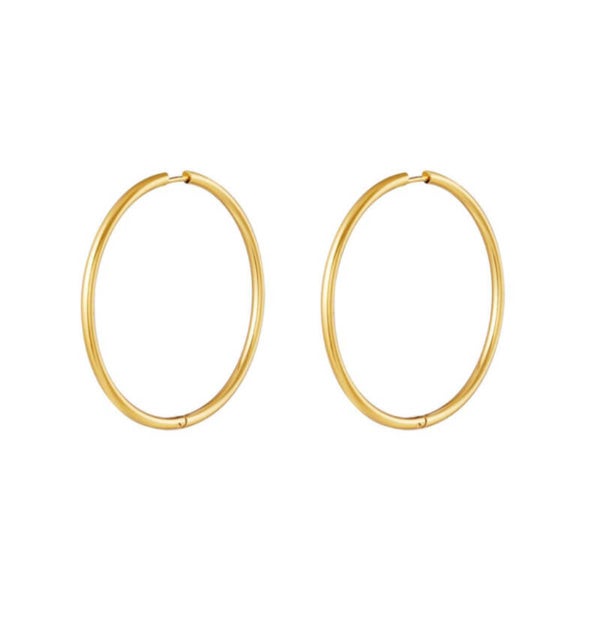 Earrings Medium Hoops Gold