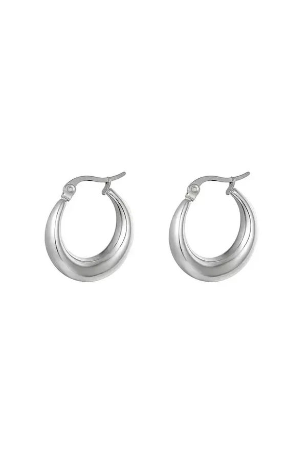 Earrings Arched Silver