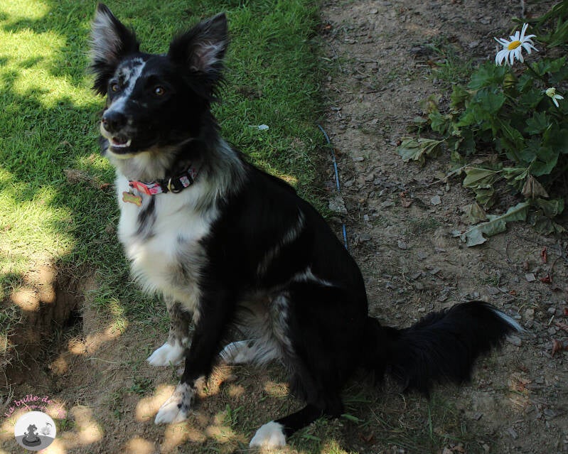 freyja-14-standard.jpg