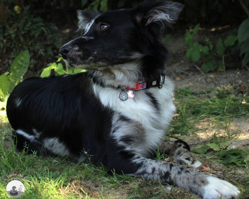 freyja-17-standard.jpg
