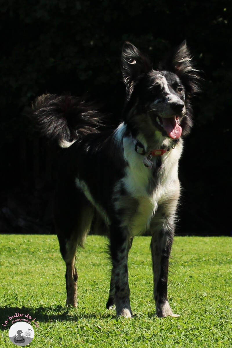 freyja-3-standard.jpg