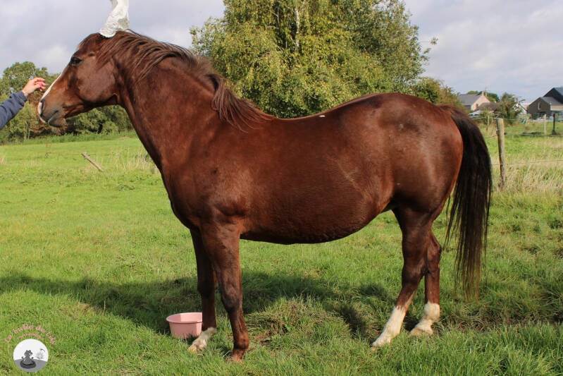 lexie-14-standard.jpg