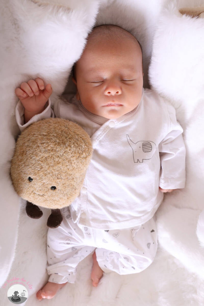 s-ren-28-standard.jpg