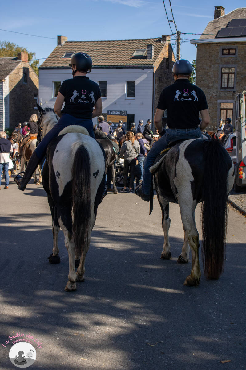 saint-hubert-122-standard.jpg