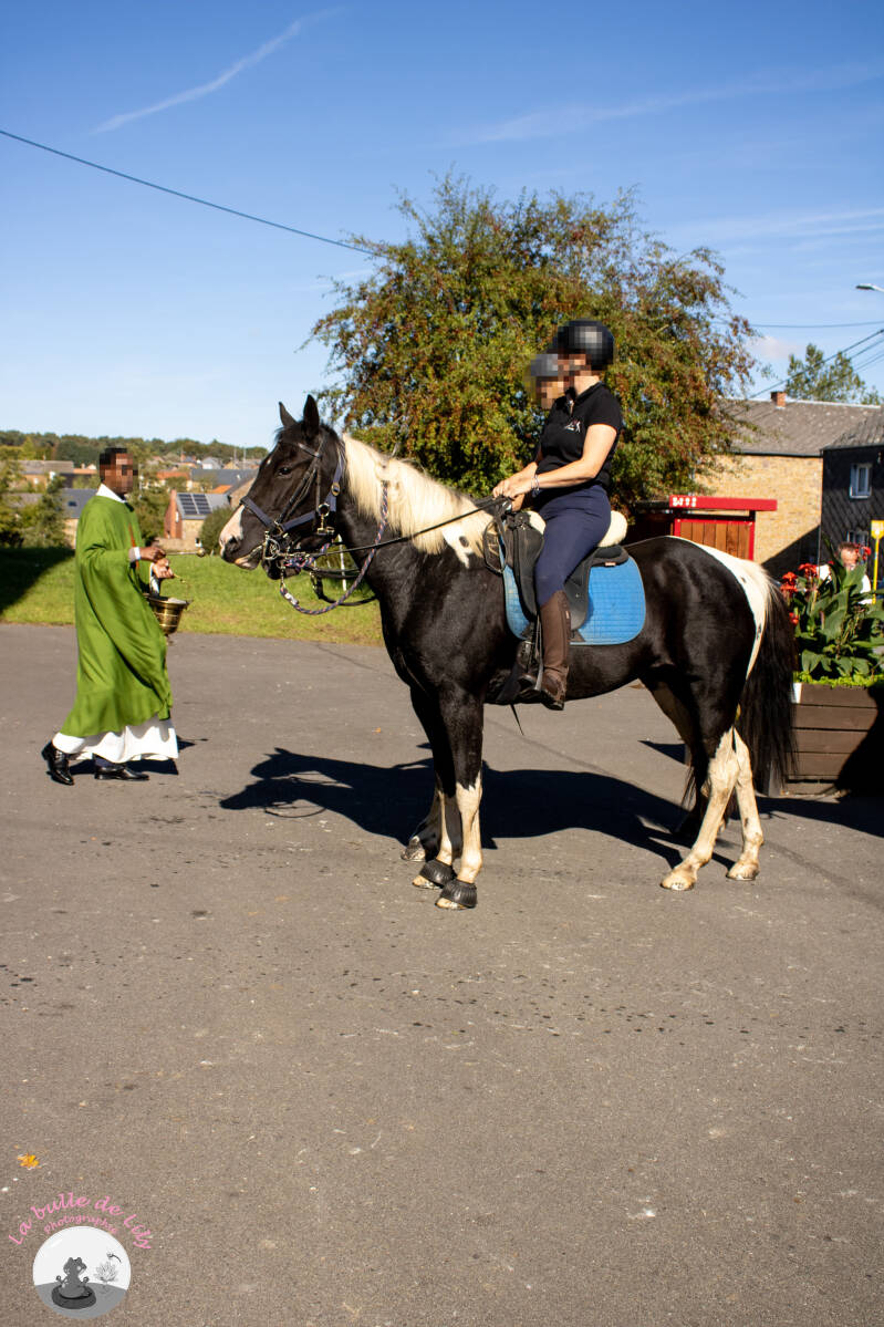 saint-hubert-130-standard.jpg
