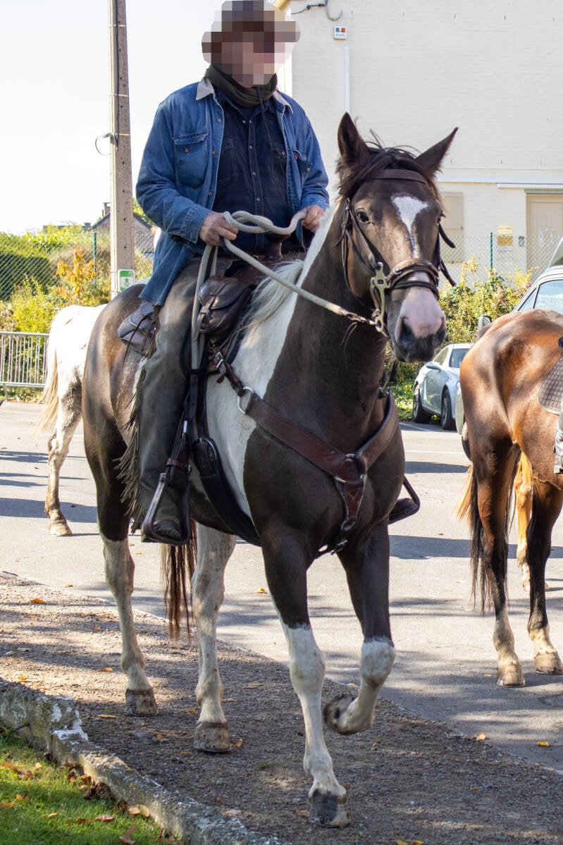 saint-hubert-149-standard.jpg