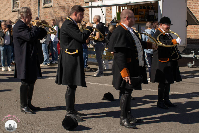 saint-hubert-196-standard.jpg