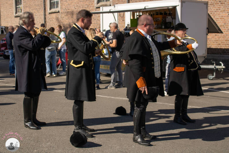 saint-hubert-197-standard.jpg
