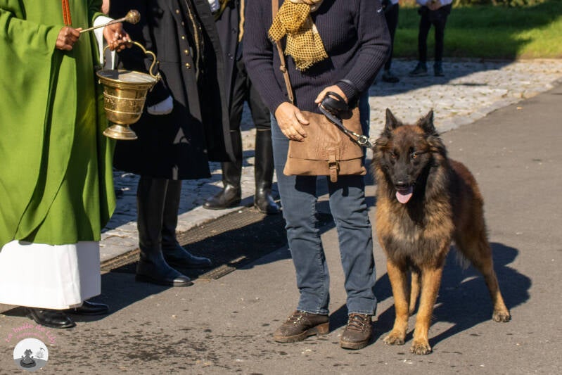 saint-hubert-30-standard.jpg