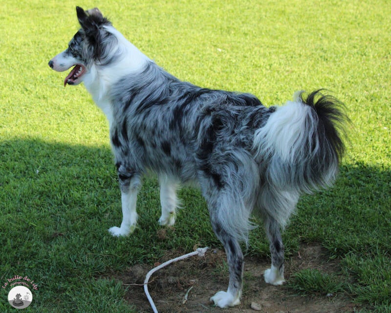 sora-18-standard-emx55u.jpg