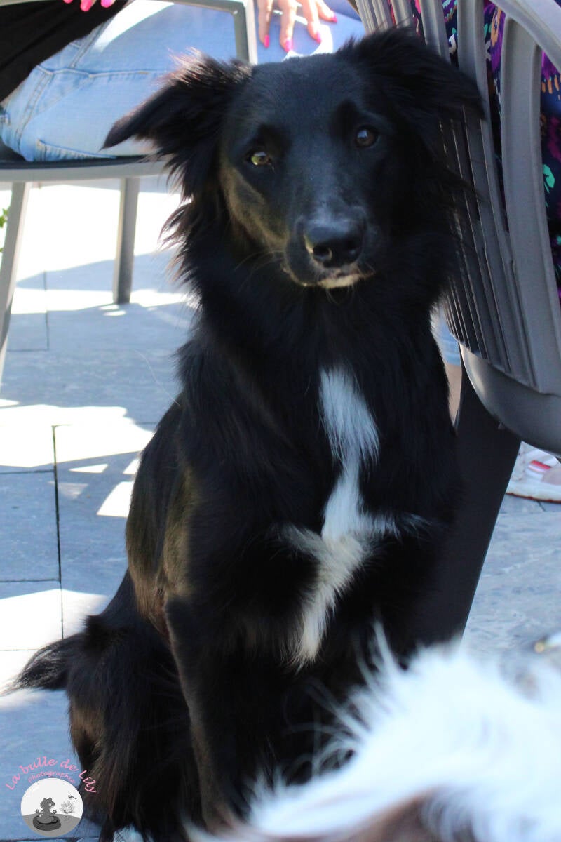 xena-10-standard-upi8of.jpg