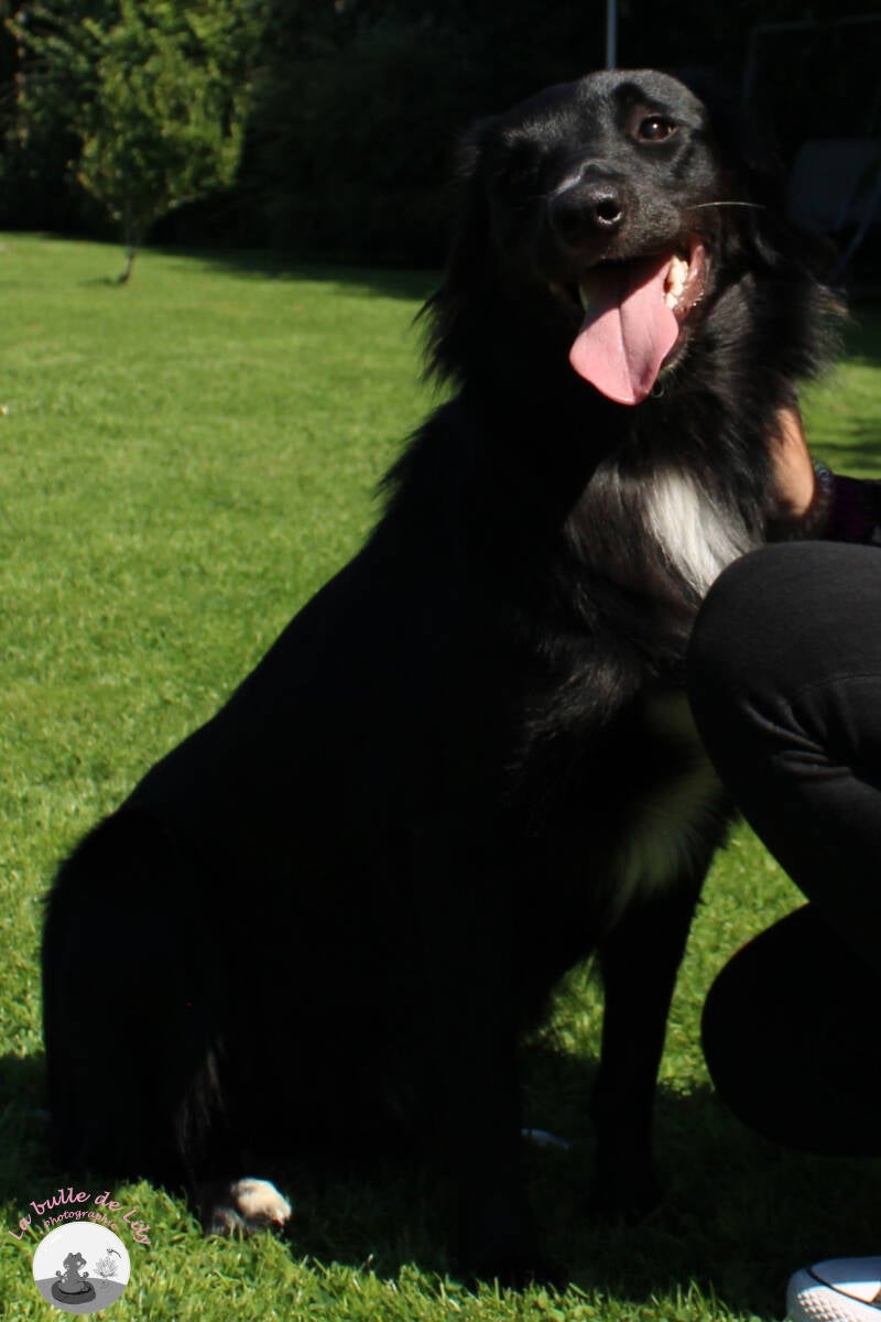 xena-4-standard-vbu40s.jpg