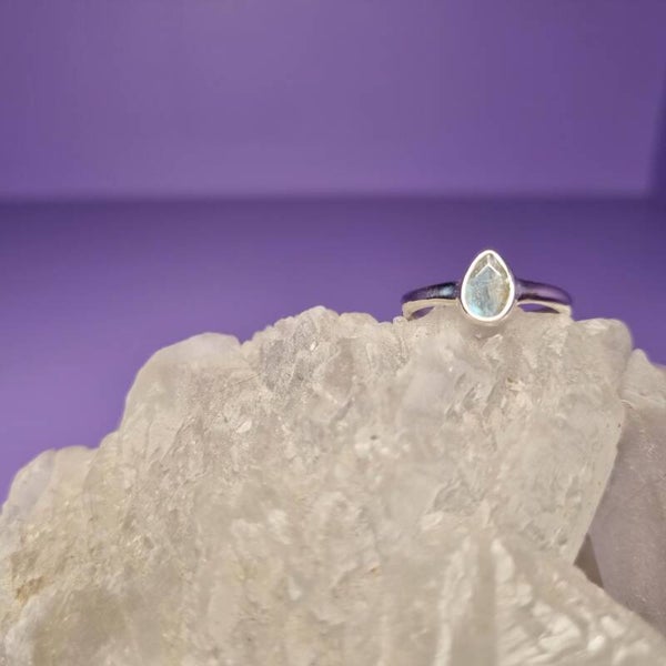 Ring Labradoriet nr. 107
