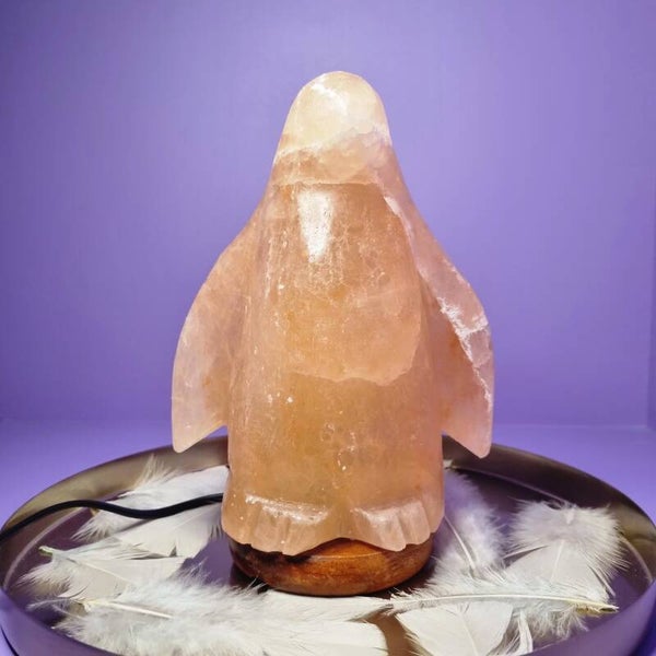 Zoutlamp Pinguin nr. 118