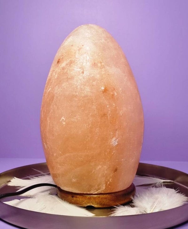 Zoutlamp Eivormig nr. 119