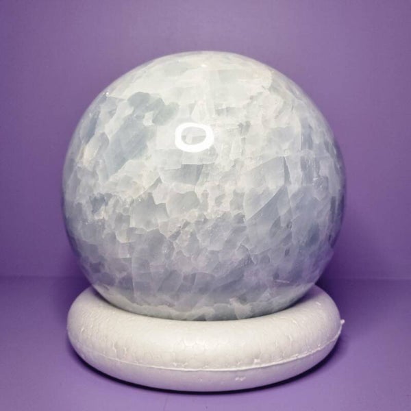 Blauwe Calcietbol nr. 82