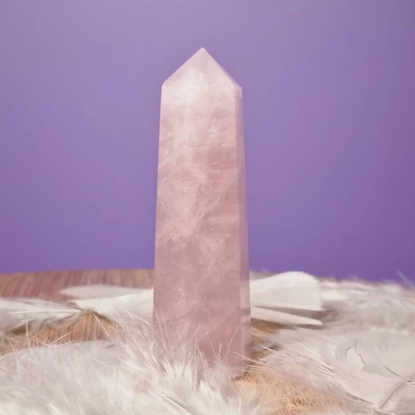 Rozenkwarts toren nr. 151