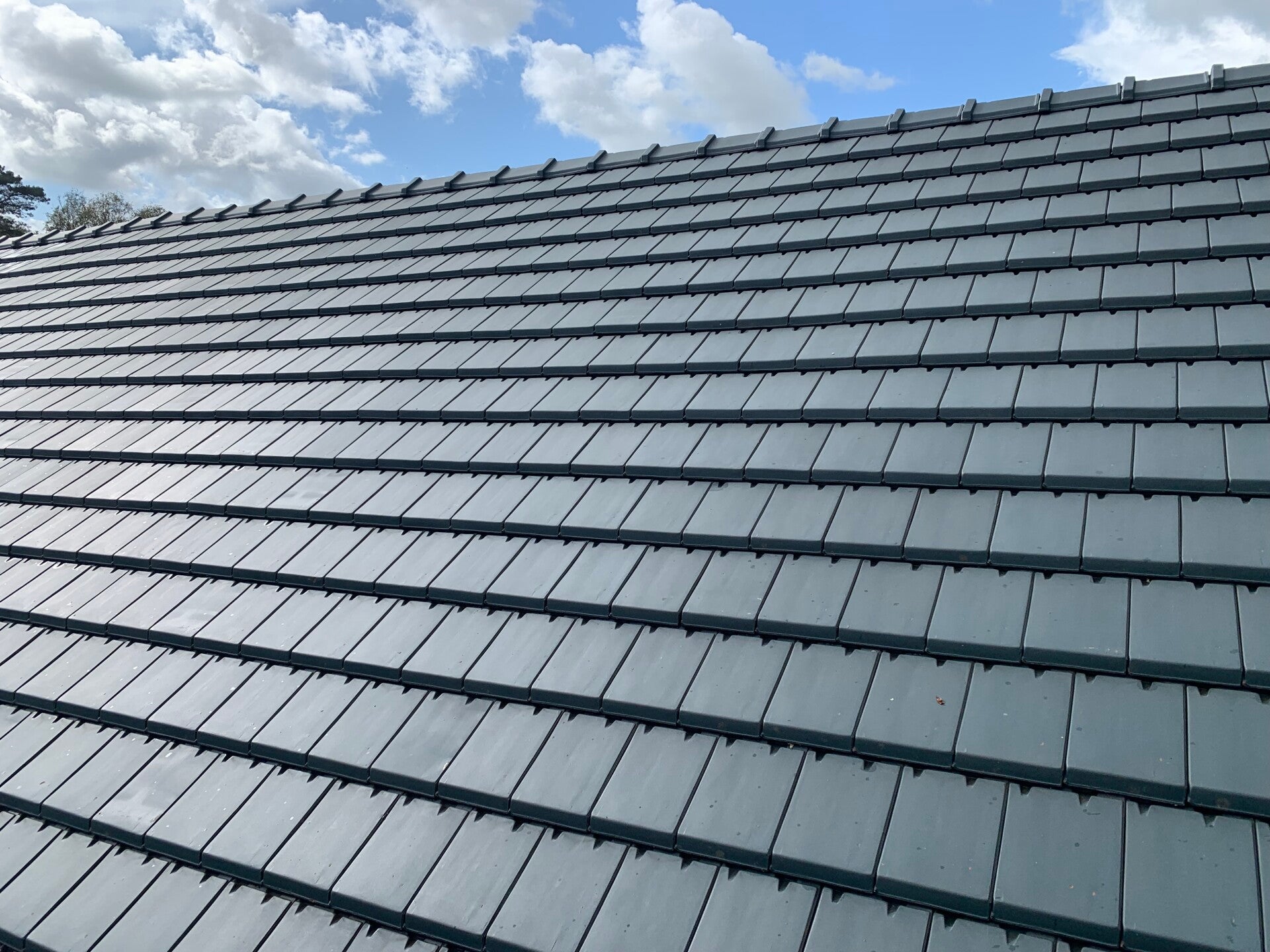 MVN Schoonmaak project