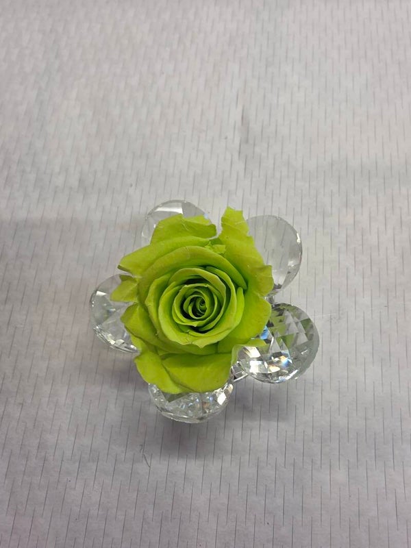 "Rosa Verde Cristallo"