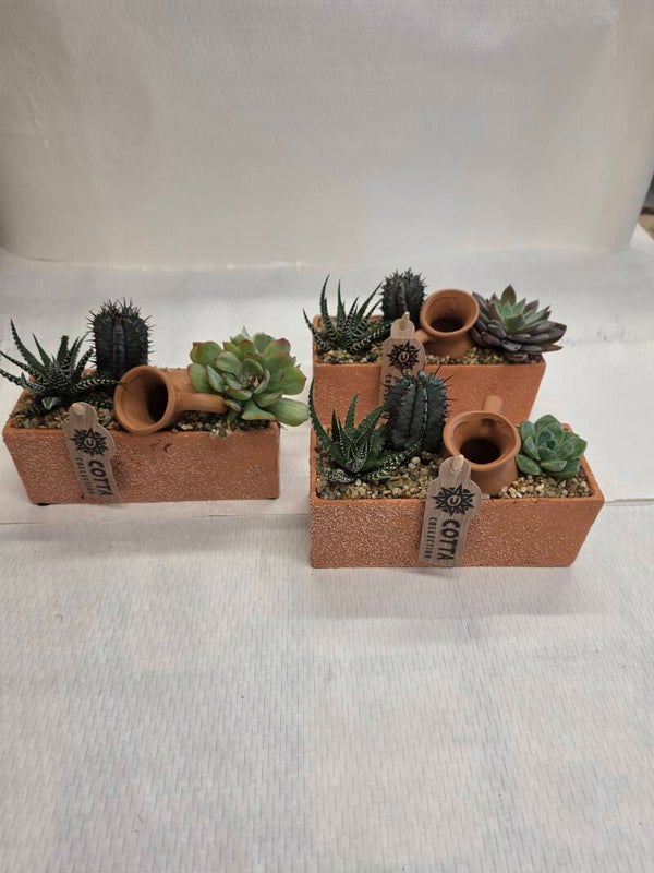 "Mini Orto Succulente in Mattone,"