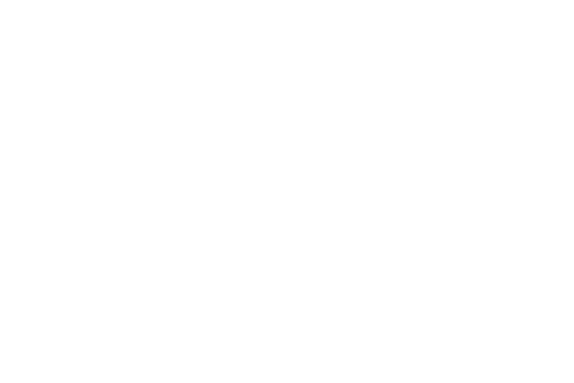 Welike2Party | Exclusive party rentals - Logo