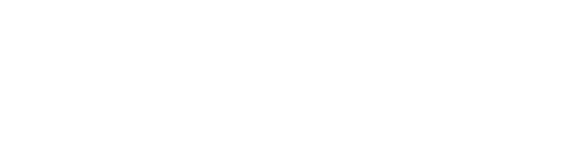Welike2Party