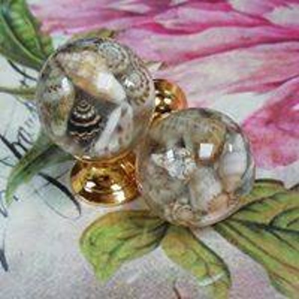 meubelknop schelpjes