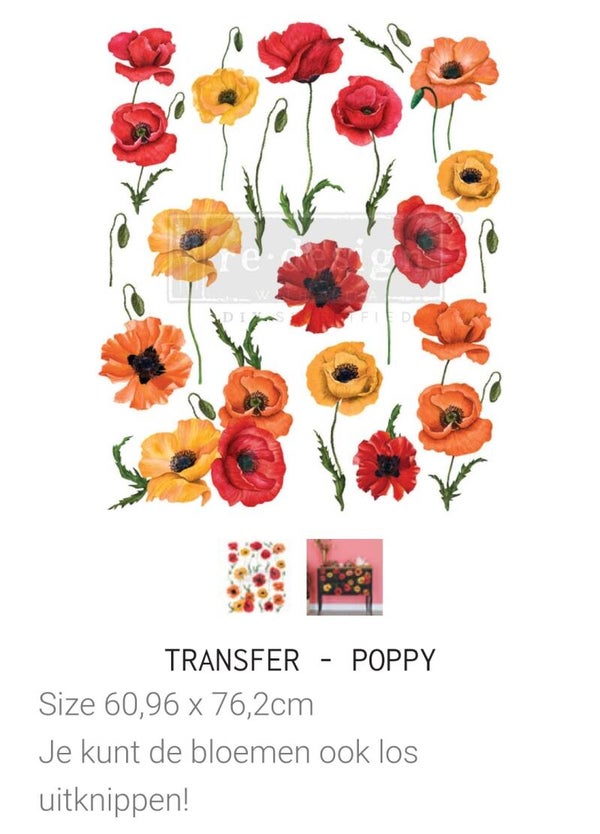 Poppy