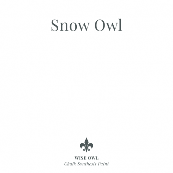 Snow Owl