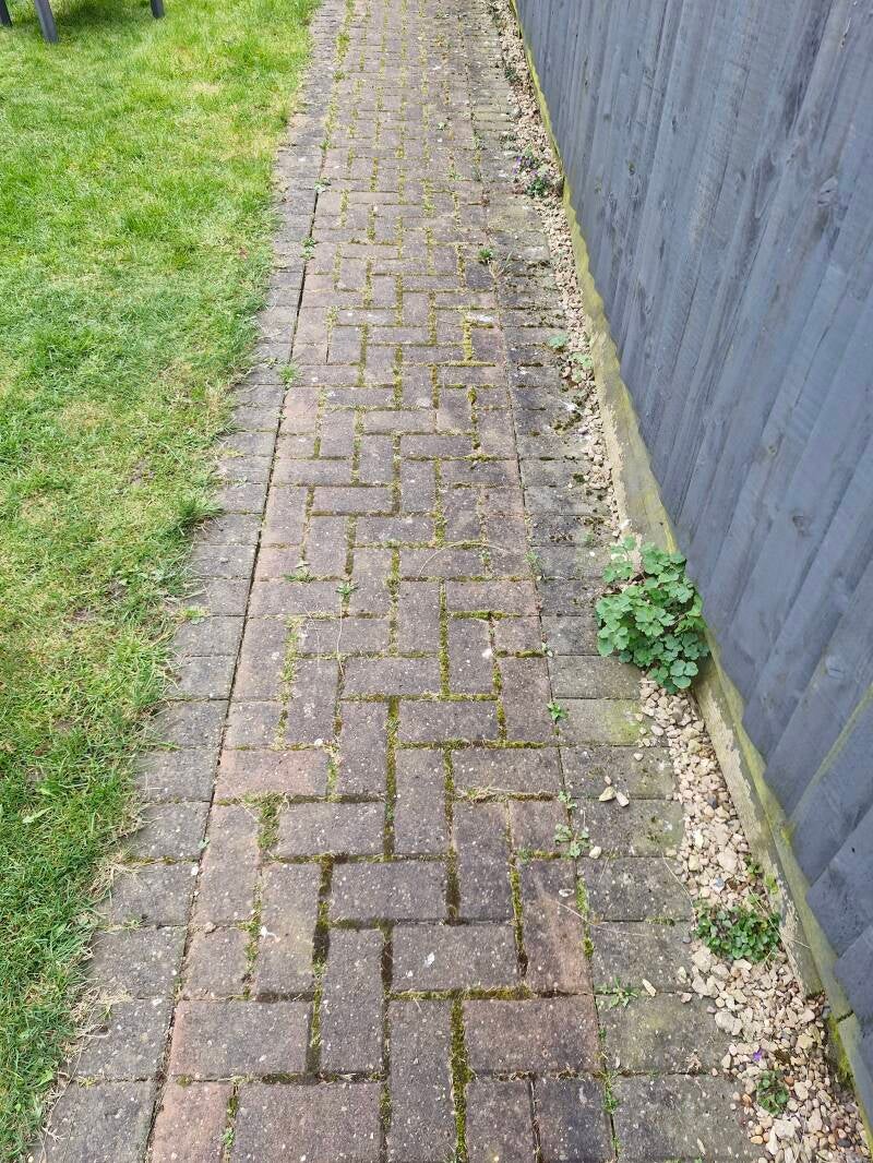 20250409_093844-standard.jpg