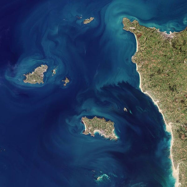 Channel Island Cruise