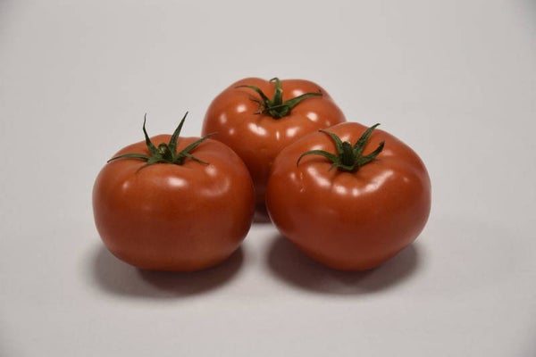 Losse tomaten