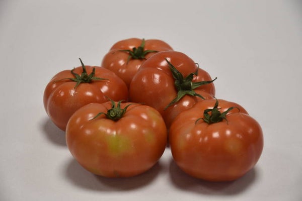 Soeptomaten 2kg