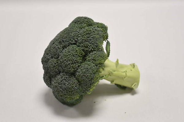 Broccoli