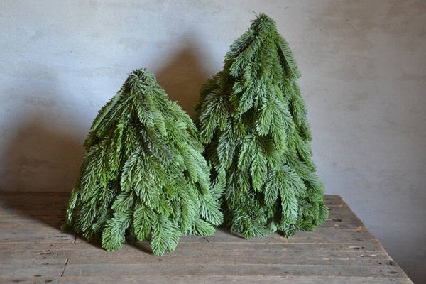 Kunst nobilis kerstboom smal
