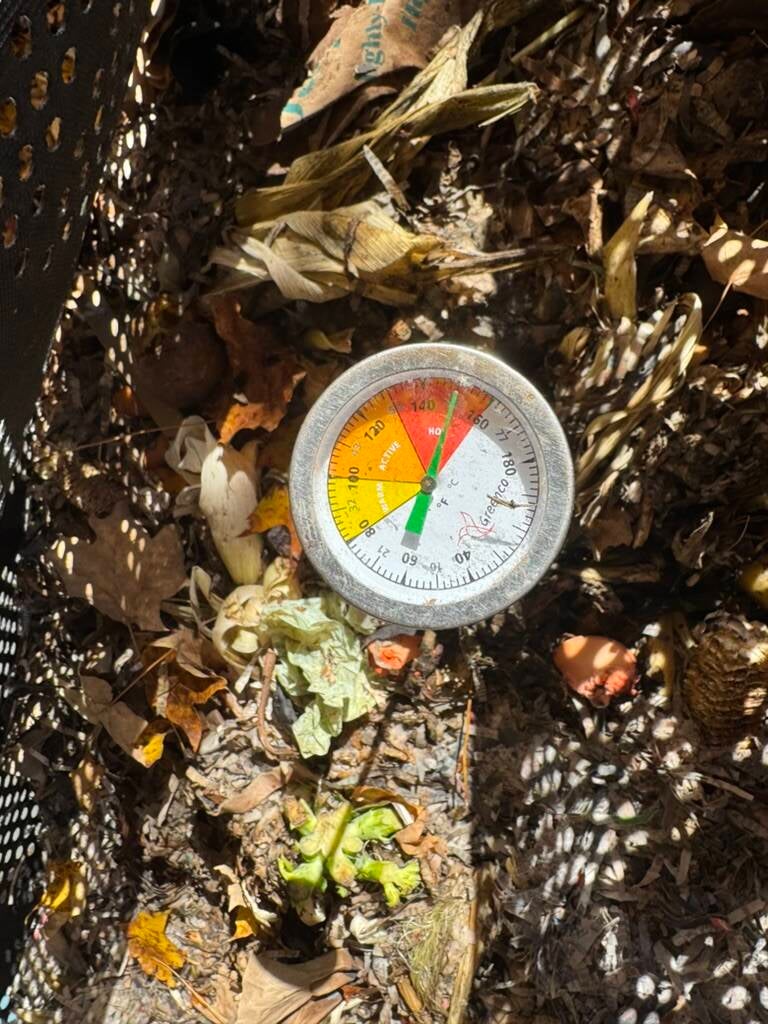 October 2025 Greenwich Composting Project, hot compost